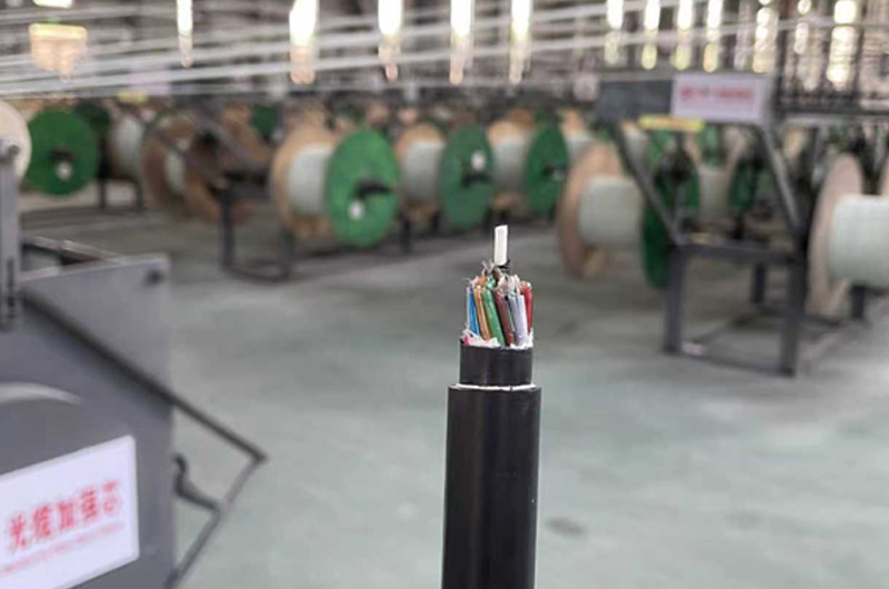 Optical cable reinforcing core 1